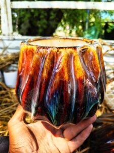 Star fruit disine gamla 8 inch