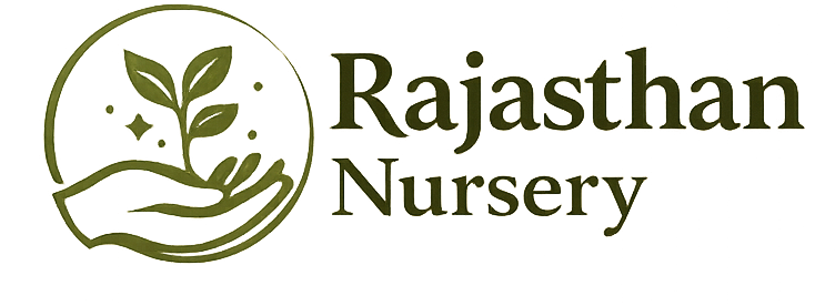 Rajasthan Nursery